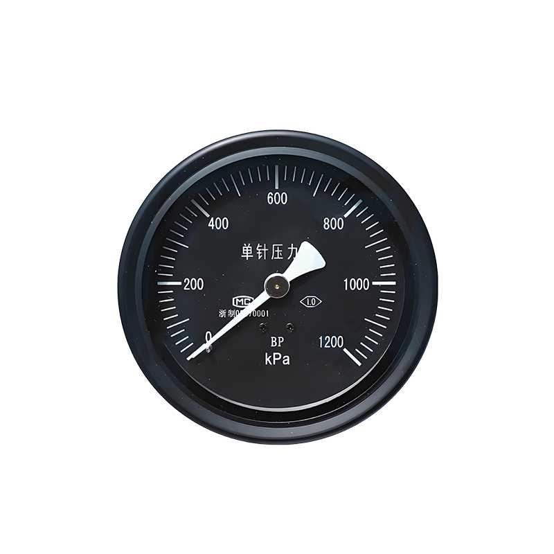 HTCS100 Single-needle Pressure Gauge