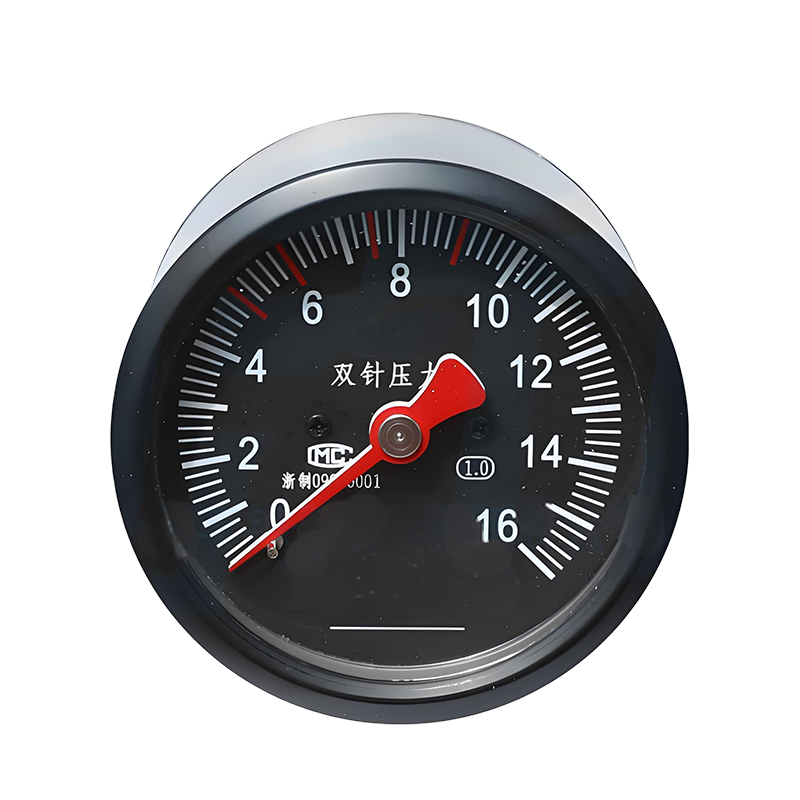 HTS-80Z-1 Dual-needle Pressure Gauge