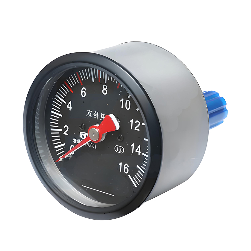 HTS-80Z-1 Dual-needle Pressure Gauge