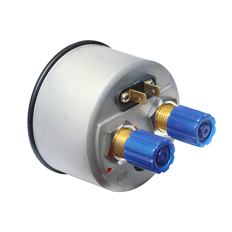 HTS-80Z-1 Dual-needle Pressure Gauge