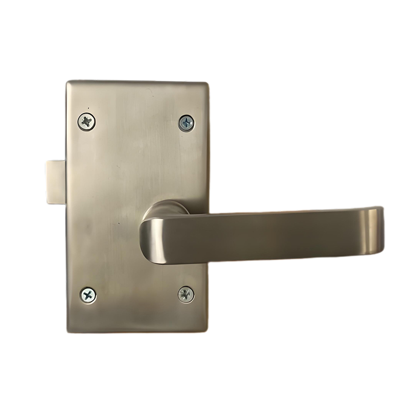 Train Interior Partition Door Lock